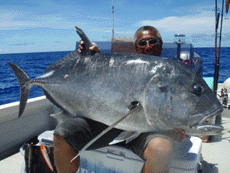 石垣島 釣り 釣り船 シーファイター