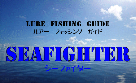 石垣島 釣り 釣り船 シーファイター
